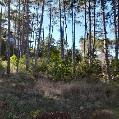 трёхкомнатные роскошные у моря в санта марина